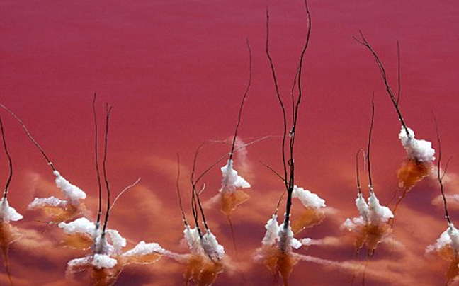 Μία κατακόκκινη λίμνη στη νότια Γαλλία - Φωτογραφία 7