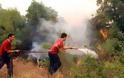 Συνεχίζονται οι φωτιές στην Κρήτη - Δεν αποκλείεται παράταση της αντιπυρικής περιόδου