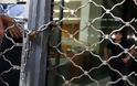 Οι έμποροι της Πελοποννήσου κλείνουν και ανεβαίνουν Αθήνα