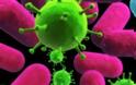 Σπάνιος ιός μηνιγγίτιδας χτύπησε στις ΗΠΑ