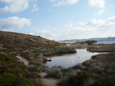 Μετατροπή σε σκουπιδότοπο αρχαιολογικού χώρου στη Μήλο - Φωτογραφία 3