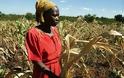 «Καμπανάκι» ΟΗΕ για νέα επισιτιστική κρίση το 2013 -  Tα παγκόσμια αποθέματα σιτηρών βρίσκονται στα χαμηλότερα επίπεδα από το 1974