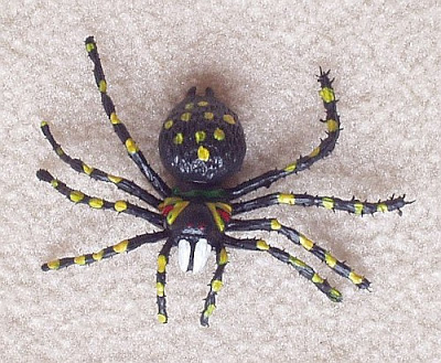 10 πράγματα που δεν ξέρετε για τις αράχνες! - Φωτογραφία 1