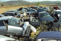Εύβοια: Το GPS αποκάλυψε... μάντρα κλεμμένων αυτοκινήτων - ΦΩΤΟ