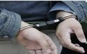 Σύλληψη διεθνώς διωκόμενου Αλβανού στην Κακαβιά Ιωαννίνων
