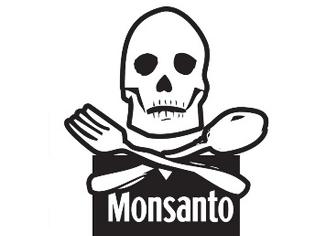 H Monsanto προσπαθεί δικαστικά να ποινικοποιήσει την αποθήκευση σπόρων! - Φωτογραφία 1