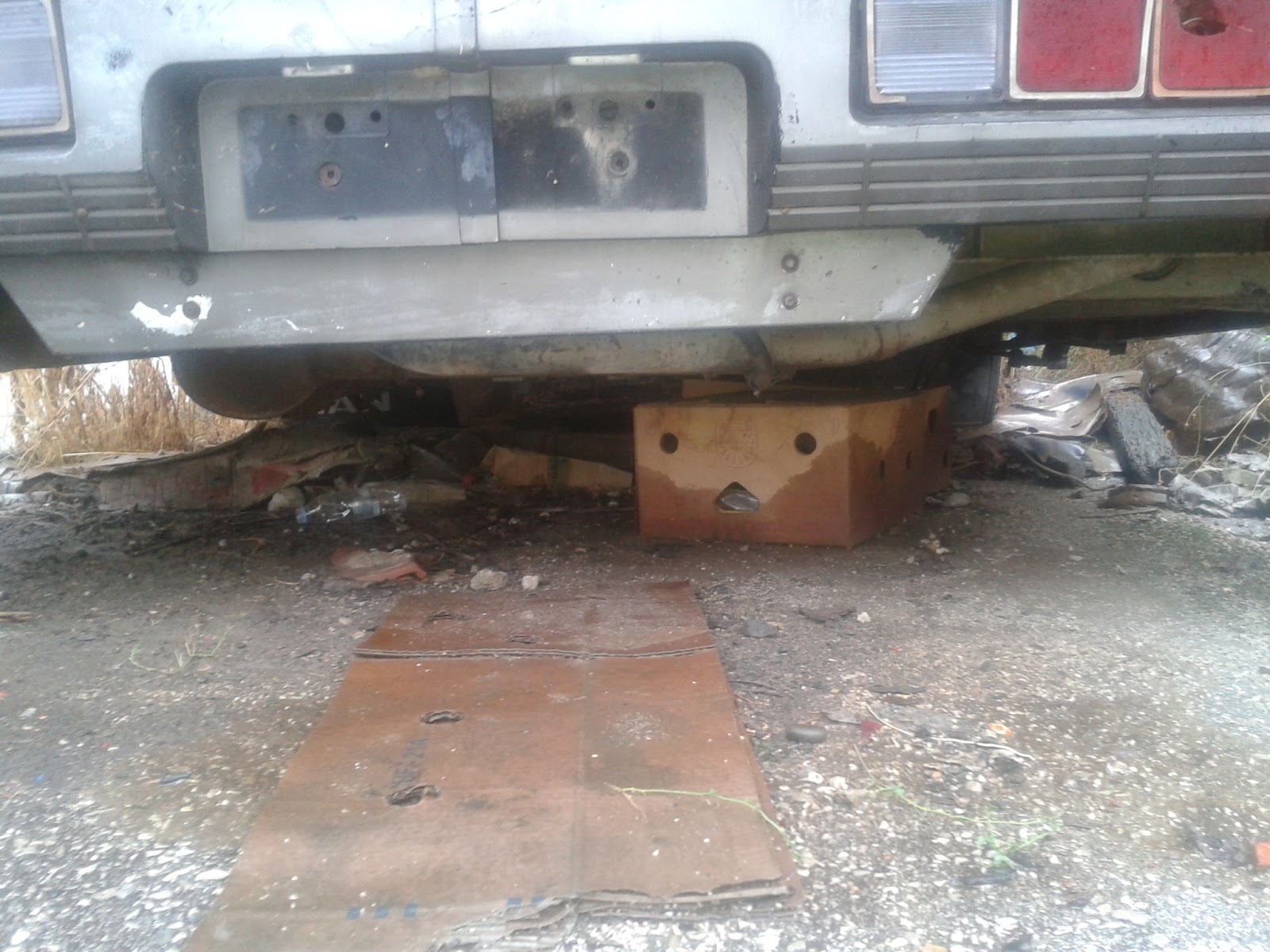 Κλασικός Ελληναράς παράγοντας που δεν τον ακουμπάει κανείς ... - Φωτογραφία 2