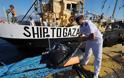 ΚΚΕ: Επίδειξη βαρβαρότητας η επίθεση του ισραηλινού στρατού στο πλοίο Estelle