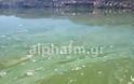 Καστοριά: Η κατάσταση της λίμνης σήμερα