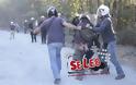 Ξύλο, χημικά και βία από τους αστυνομικούς - προστάτες των μεταλλείων χρυσού στη Χαλκιδική [photo] - Φωτογραφία 2