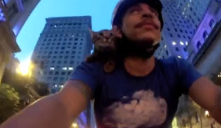 Η γάτα που γουστάρει βόλτες με το ποδήλατο [Video] - Φωτογραφία 1