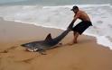 Συγκλονιστικό βίντεο: Άνδρας τραβάει Λευκό Καρχαρία πίσω στη θάλασσα με τα χέρια του [video]