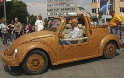 Ένας σκαραβαίος... όλος από ξύλο! [photos] - Φωτογραφία 3