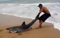 ΒΙΝΤΕΟ: Άνδρας τραβάει Λευκό Καρχαρία πίσω στη θάλασσα με τα χέρια του