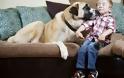 Τρίποδος σκύλος βοήθησε αγόρι με σπάνια αρρώστια