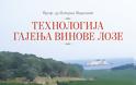 2088 - Συμμετοχή της Ι.Μ. Χιλιανδαρίου στην 57η Διεθνή Έκθεση Βιβλίου στο Βελιγράδι. - Φωτογραφία 6