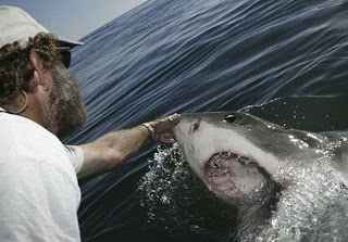 Ο άνθρωπος που… υπνωτίζει τους καρχαρίες [video] - Φωτογραφία 1