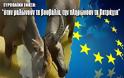 Ευρωπαϊκή Ενωση: Όπως λέμε, «όταν μαλώνουν τα βουβάλια, την πληρώνουν τα βατράχια»!