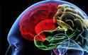 Ο πρώτος επιστημονικός «τσελεμεντές» για την υγεία του εγκεφάλου