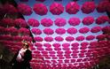 400 ροζ ομπρέλες στον ουρανό!