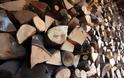 Ενισχύονται στη Κύπρο τα μέτρα για πάταξη της παράνομης υλοτομίας δέντρων