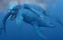 Ανακαλύφθηκε θαλάσσιο ερπετό που «θα έκανε τον τυραννόσαυρο να κλάψει»
