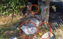 Μεσολόγγι: Το οικόπεδο που φυτρώνουν τσάντες! - Δείτε φωτό - Φωτογραφία 3