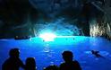 Το μαγευτικό σπήλαιο στο Καστελόριζο (Video)