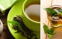 Το ευεργετικό πράσινο τσάι: Από ποιες ασθένειες μας προστατεύει;