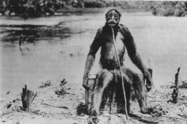 Είναι αυτός ο μυστηριώδης πιθηκάνθρωπος του Αμαζονίου; - Φωτογραφία 5
