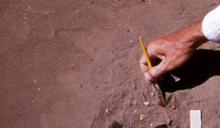 Γερμανοί αρχαιολόγοι ανακάλυψαν καρφίτσα μαλλιών ηλικίας 3400 ετών - Φωτογραφία 1