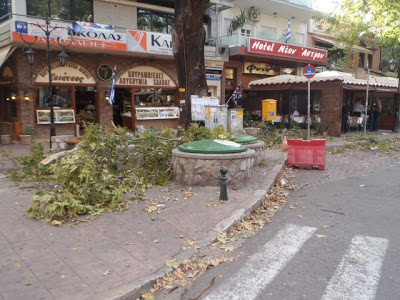 Λαμία: Έβρεξε...πλατάνια στη πλ.Λαού! - Φωτογραφία 5