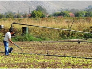 Αυτά είναι τα επαγγέλματα που αντέχουν στην κρίση! - Φωτογραφία 1