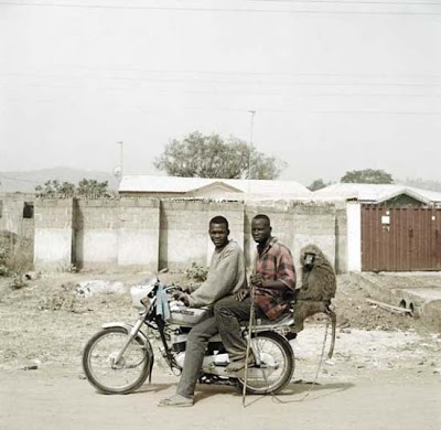 Ύαινες, μπαμπουίνοι και πύθωνες τα κατοικίδια της Νιγηρίας! - Φωτογραφία 15