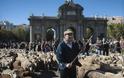 Χιλιάδες πρόβατα πλημμύρισαν τη Μαδρίτη - Φωτογραφία 2