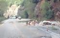 Βράχοι τόνων πέφτουν βροχή στην Εθνική Οδό Ιωαννίνων –Άρτας! - Φωτογραφία 2