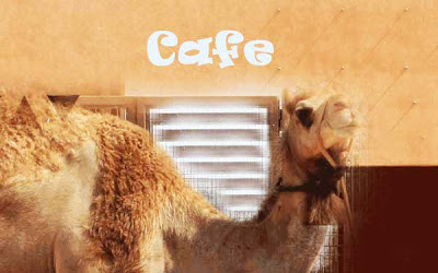 Camel-ccino, καπουτσίνο με γάλα καμήλας! - Φωτογραφία 3