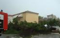Αμάρυνθος: Ξεριζώθηκαν δέντρα από τη χθεσινή καταιγίδα