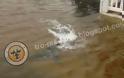 Απίστευτο: Φωτογραφία αναγνώστη από το New Jersey αποτυπώνει καρχαρία να βολτάρει στην αυλή του σπιτιού! - Φωτογραφία 1