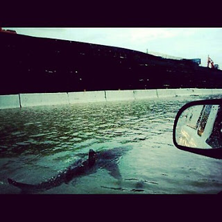 Βγήκαν καρχαρίες στους δρόμους του Νιου Τζέρσει - Φωτογραφία 1