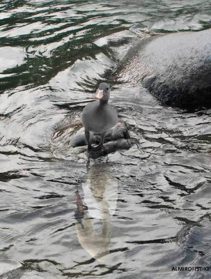 Οι απίστευτες σκιές των ονείρων μας - Φωτογραφία 5