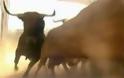 Κιλκίς: Νεκρός από επίθεση ταύρου στην αυλή του σπιτιού του