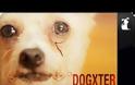 Πώς θα ήταν αν ο Dexter γινόταν Dogster και πρωταγωνιστής ήταν ένας σκύλος; [Video]