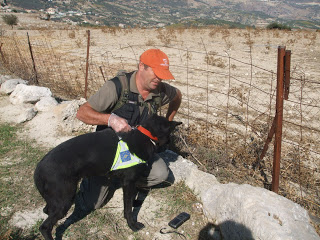 Ειδική ομάδα σκύλων ψάχνει δηλητηριασμένα δολώματα - Τριάντα πέντε σκύλοι από την Ανδαλουσία «κυνηγούν το δηλητήριο» στην Ελλάδα, την Ισπανία και την Πορτογαλία - Φωτογραφία 1
