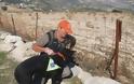 Ειδική ομάδα σκύλων ψάχνει δηλητηριασμένα δολώματα - Τριάντα πέντε σκύλοι από την Ανδαλουσία «κυνηγούν το δηλητήριο» στην Ελλάδα, την Ισπανία και την Πορτογαλία - Φωτογραφία 1
