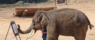 Ελέφαντας έμαθε να μιλά Κορεάτικα - Φωτογραφία 1