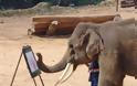 Ελέφαντας έμαθε να μιλά Κορεάτικα