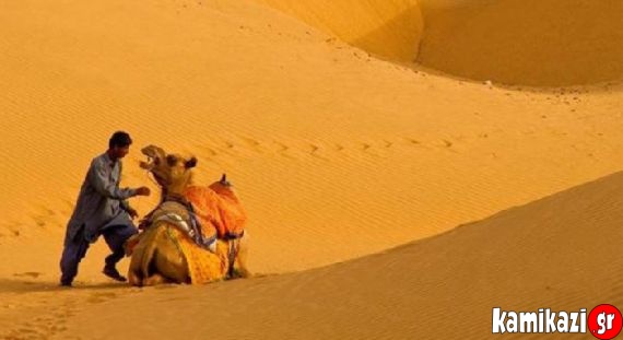 Mη τα βάζετε με τις καμήλες...γιατί εσείς θα την πατήσετε!! (pics) - Φωτογραφία 10