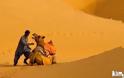 Mη τα βάζετε με τις καμήλες...γιατί εσείς θα την πατήσετε!! (pics) - Φωτογραφία 10
