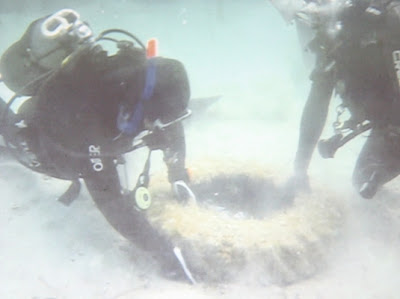 Υδροναύτες Ηλείας: Υποβρύχιος καθαρισμός στο λιμάνι του Κατακόλου - Φωτογραφία 2